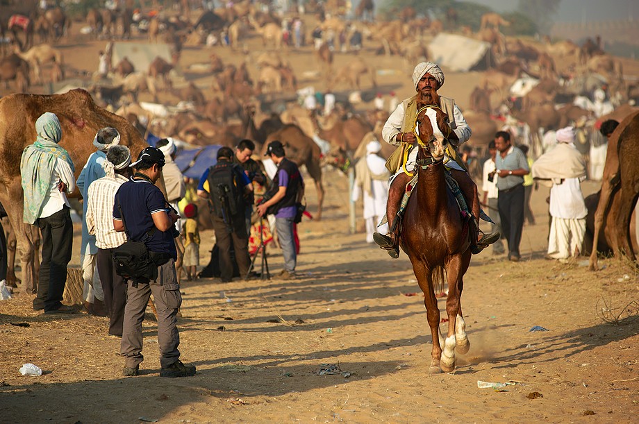 Zawody konne (Pushkar Camel Fair)